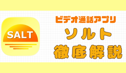 ビデオ通話アプリ・ソルトの口コミ｜気になる安全性・料金体系を解説