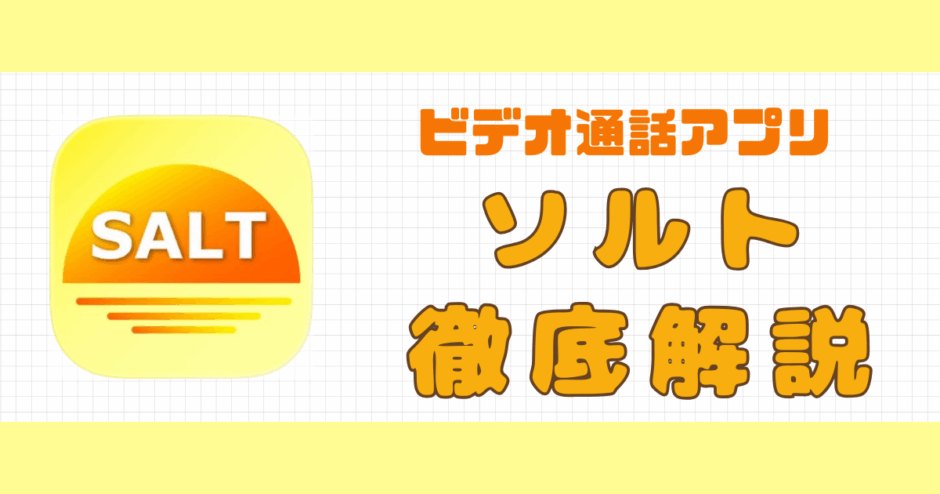 ソルト解説記事サムネイル