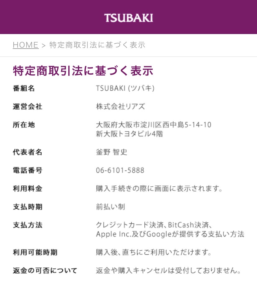 TSUBAKIの会社情報スクリーンショット